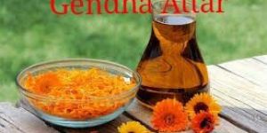 Gendha Attar