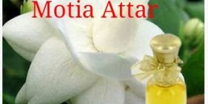 Motia Attar