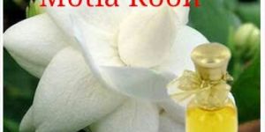 Motia Rooh