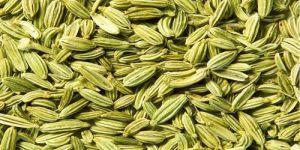 Fennel Seeds