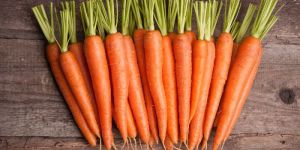 Fresh Carrot