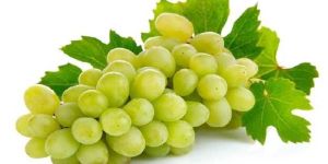Fresh Grapes