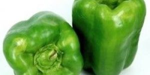 Fresh Green Capsicum