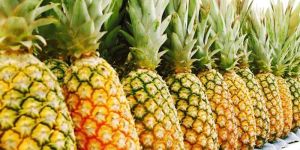 Fresh Pineapple