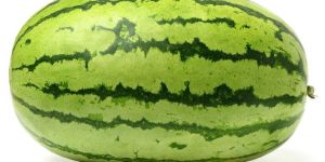 Fresh Watermelon