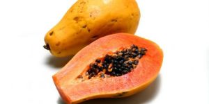 Fresh Papaya