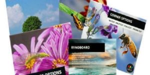 Multi Color Printing Services