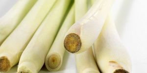 Lemongrass