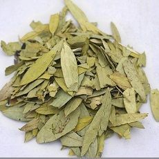 Senna Leaves