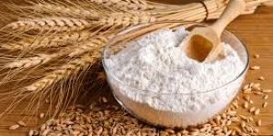 Wheat Flour