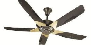 Ceiling Fan
