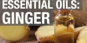 Ginger Oil