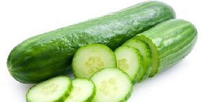 Fresh Cucumber