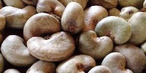 Raw Cashew Nuts