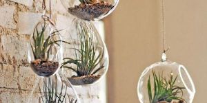 Hanging Glass Flower Pots
