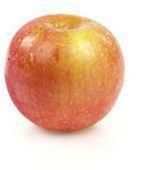 Fresh Apple
