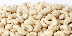 Cashew Kernel