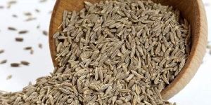 Cumin Seed
