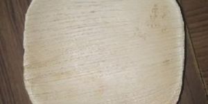 Areca Leaf Square Plate 4