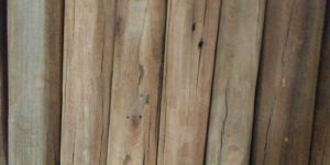 White Sandal Wood Logs