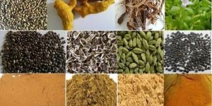 Herbal Raw Materials