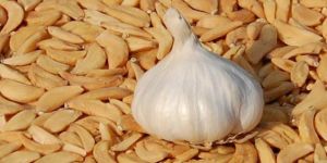 Dehydrated Garlic