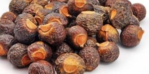 Soap Nuts