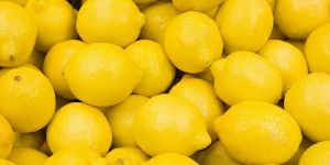 Fresh Juicy Yellow Lemon