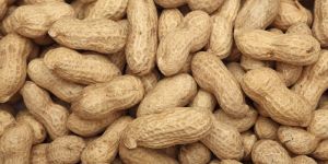 High Grade Whole Groundnuts