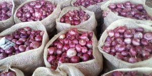 Fresh Red Onion