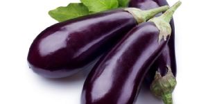 Fresh Brinjal