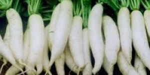 Fresh Radish