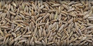 Cumin Seeds