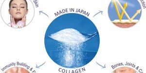 Collagen Peptide