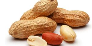 Shelled Groundnuts