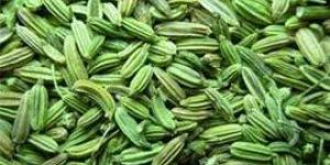 Variyali Fennel Seeds