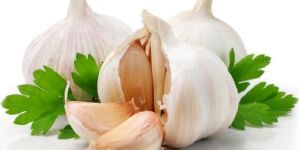 Fresh Garlic
