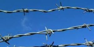 Barbed Wire