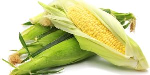 Yellow Corn