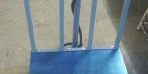 Digital Platform Weighing Scale