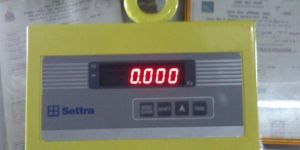 Electronic Crane Scale