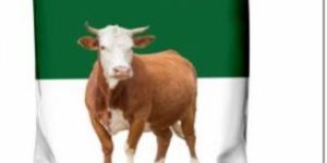 Kremica 4000 Cattle Feed