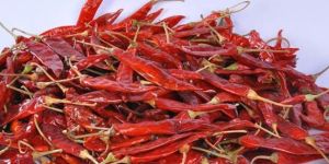 Dried Red Chilli