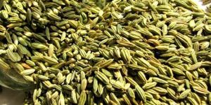 Fennel Seeds