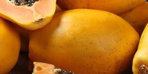 Fresh Papaya