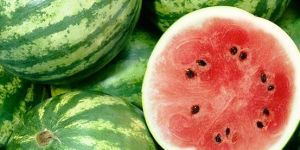 Fresh Watermelon