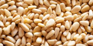 Pine Nuts