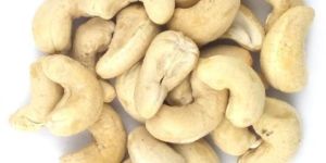 W240 Cashew Nuts