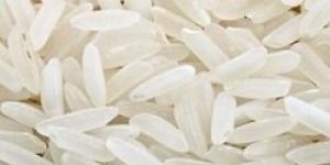 Long Grain Sona Masuri Rice