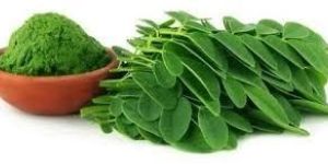 Moringa Leaves Powder